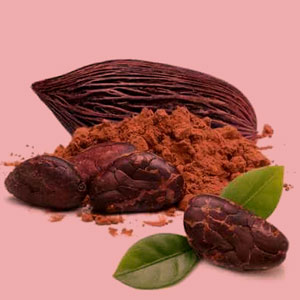 Cacao Marius
